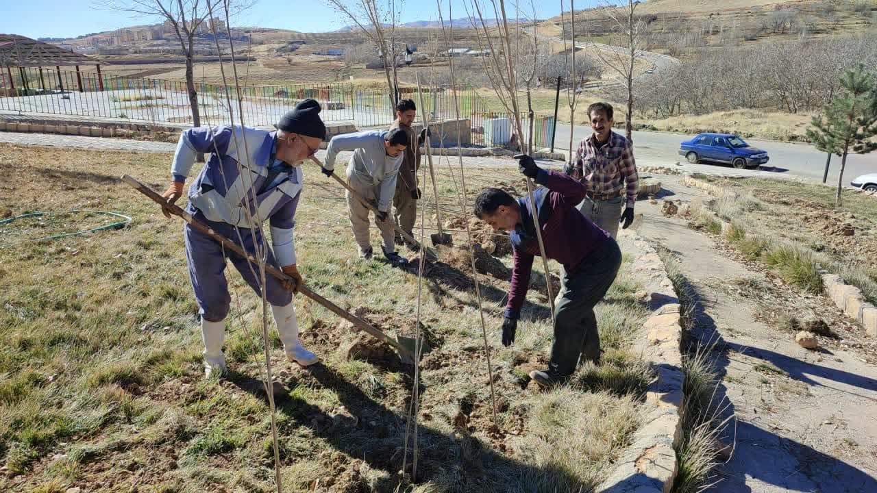 کاشت ۲۵۰۰ اصله نهال در بوستان غدیر و شهدای گمنام اردکان