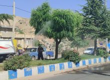 آغاز مرحله نخست سمپاشی درختان سطح شهر اردکان