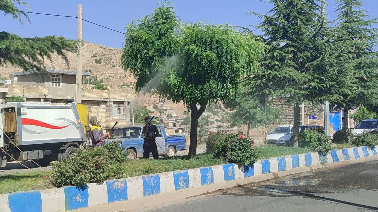 آغاز مرحله نخست سمپاشی درختان سطح شهر اردکان