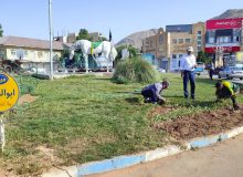 مرحله دوم گل کاری میادین و بلوارهای شهر اردکان