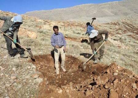 کاشت پانزده هزار نهال در تپه جنوبی شهر اردکان