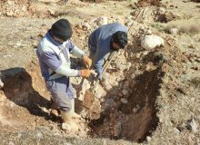 کاشت ۱۵ هزار اصله نهال در تپه های جنوبی شهر