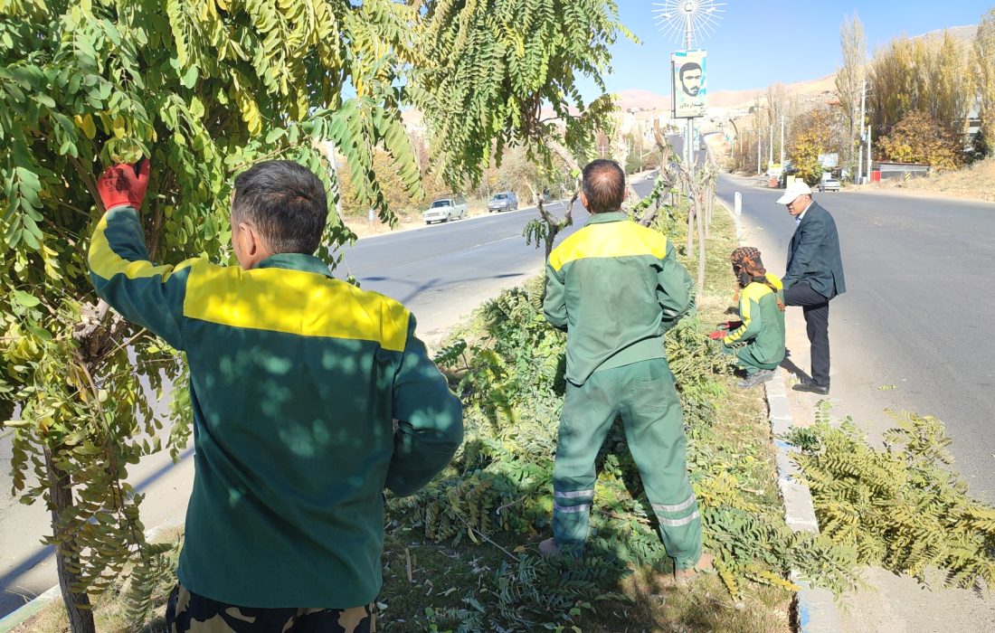 اجرای عملیات هرس پائیزه درختان