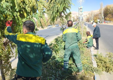 اجرای عملیات هرس پائیزه درختان